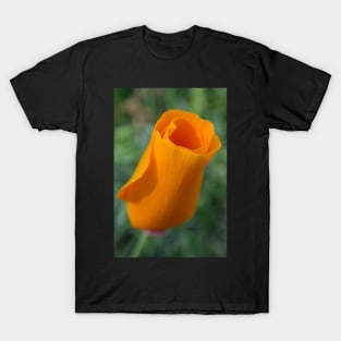 California Poppy T-Shirt